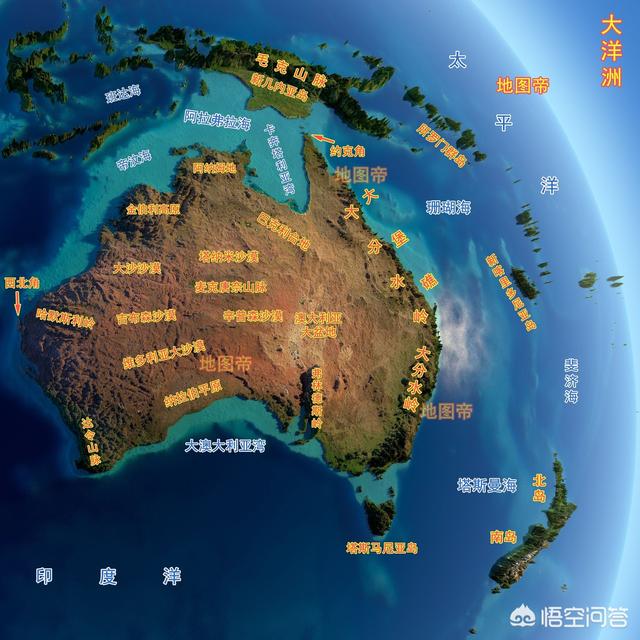 地中海孟加拉猫舍:两个月大的豹猫爱咬人怎么办？ 德国比较好的布偶猫舍