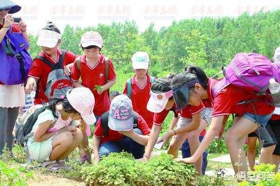 放纵学校:假如你是学生，你觉得上网课轻松还是教室上课轻松