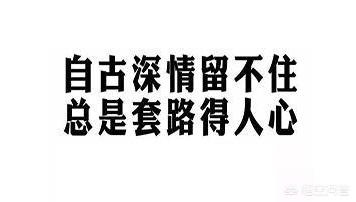 狗民网团购靠谱么:哪个宠物交易平台上的狗狗货真价实？