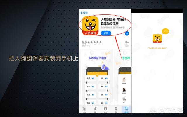 狗语翻译器效果如何:狗狗的翻译器管用吗现在？