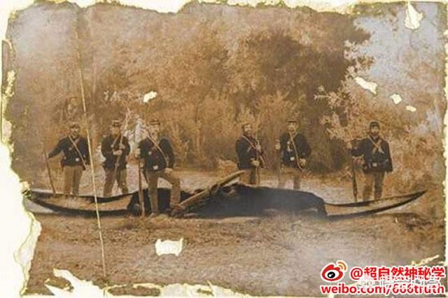 1864年拍到的翼龙，印第安传说中恐怖的“雷鸟”真的存在吗