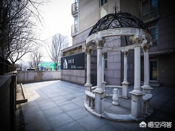 北京宠物店市场分析:开个中小型宠物超市需要多少钱？