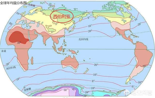 西伯利亚猫头鹰:西伯利亚为什么会那么冷？