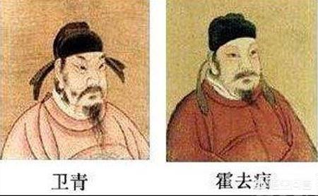 麒麟阁十一功臣:汉宣帝的“麒麟阁十一功臣”，卫青霍去病为何没上榜？标准是啥？