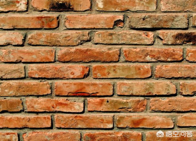 怎么做院子围墙又便宜又好看？插图61