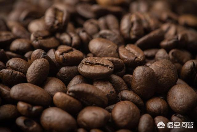 几千元一斤的猫屎咖啡是怎么来的:正宗的猫屎咖啡多少钱一斤 猫屎咖啡为什么那么贵，背后有什么故事？