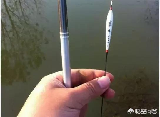 带钩调三目钓三目,子线在水底是什么样的?-百科网