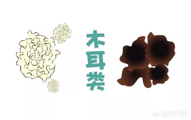 藻复康批发:虾塘肥水膏能和藻种菌种一起下吗？