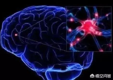如何识别脑梗的先兆表现，脑梗来临前，身体出现“一软二硬”，具体指什么