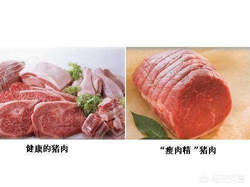 什么是瘦肉精什么是瘦肉精有什么危害
