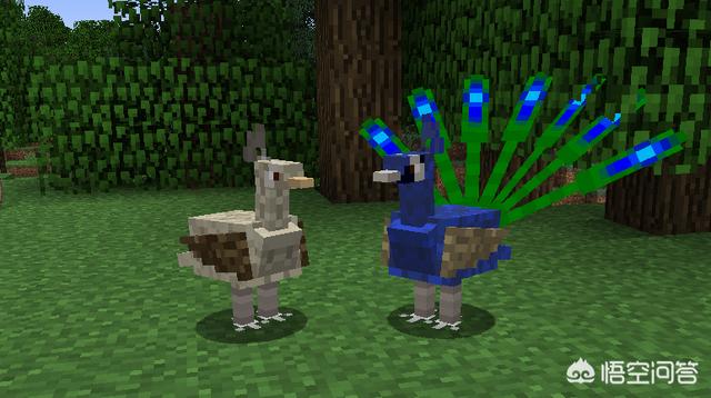 头条问答 我的世界动物怎么分公母 股市日常lucky的回答 0赞