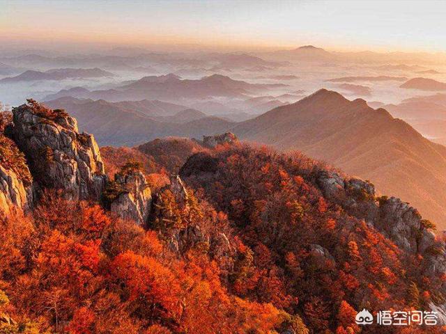 莽山森林公园红叶:深秋季节了，京津冀地区有什么看红叶的好地方吗？