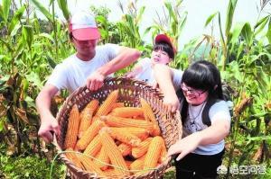小茹和黄狗驴交小说:农业的土地性质有哪几类？