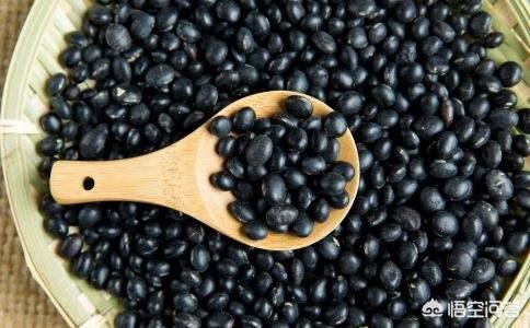黑枸杞和桑葚，为什么黑色的食物可以补肾？