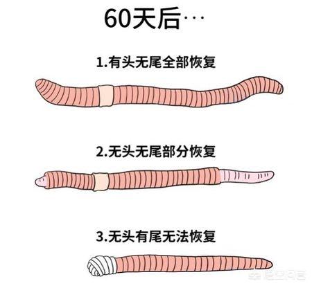 人类繁殖的方式太恶心了，科学家曾研究人类的单性繁殖，现如今结果怎么样了