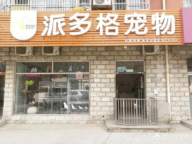 开家宠物店要多少钱:天水开宠物店需要多少资金？