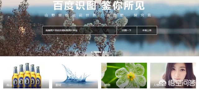 什么网站找图片好用？