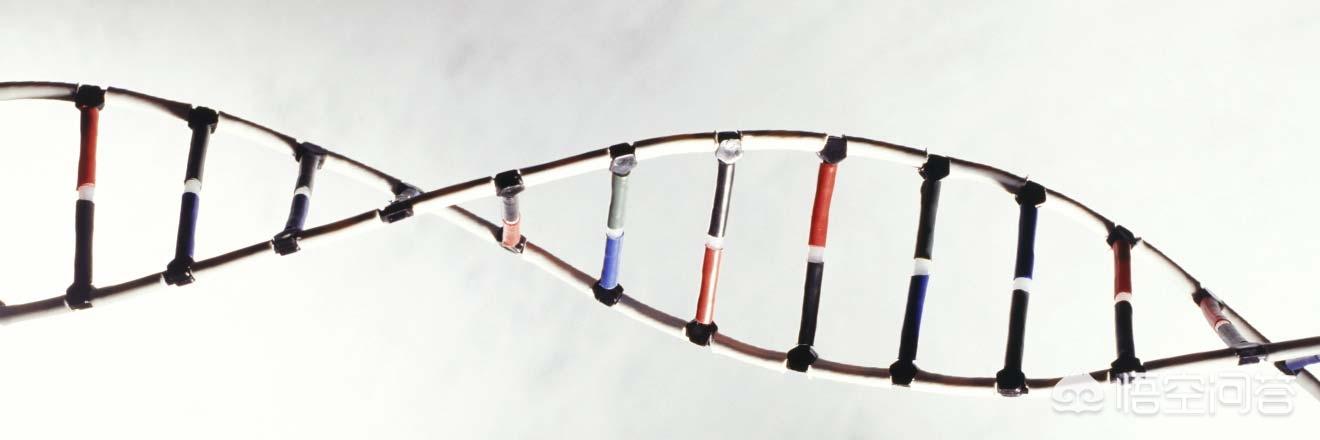 有些人每天晚上下班后总想喝点白酒，这样算不算是酗酒呢？你怎么看？插图40