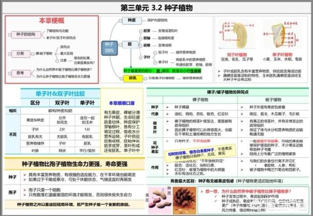 孩子现在初一，副科不太好，历史，生物，地理该怎么学习？