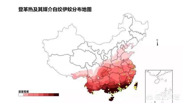 广西合浦蛋龟之家电子商务有限公司:广西北部湾的支柱产业是什么？听说那里很多外地人，是真的吗？