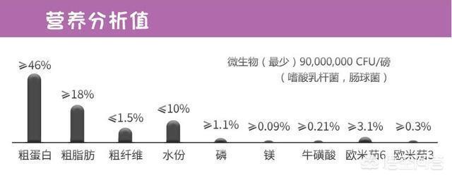 玛氏宠物食品的研发:哪些食物，可以帮助狗狗美毛？