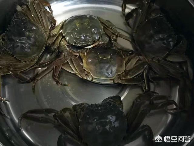 叫朋友来家里吃饭做什么菜，请朋友来家里吃饭做什么菜