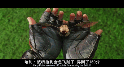 海蒂克鲁姆:哈利波特和克鲁姆魁地奇实力哪一个会强一些？