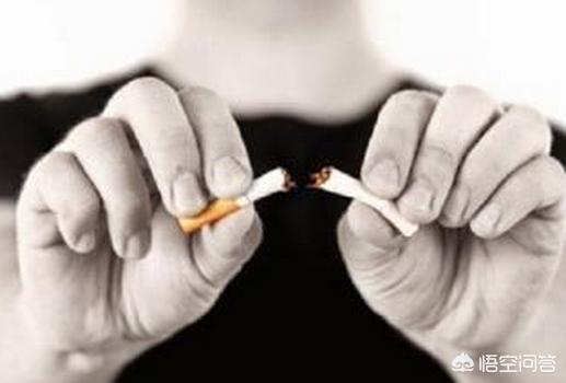 日常如何养护血管，预防脑梗？