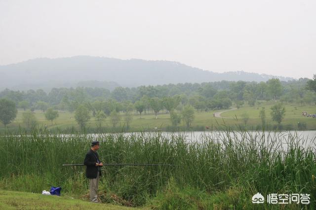 传统野钓都用什么牌子的鱼竿？比如说11米12米的？