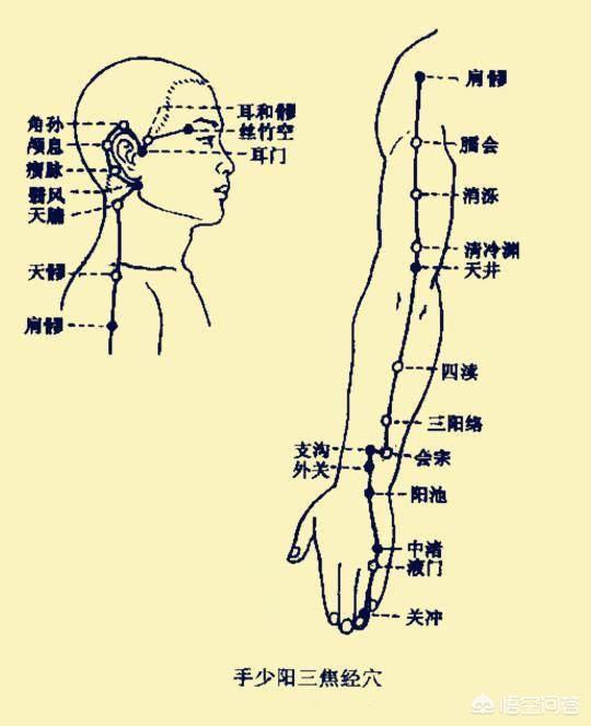 风池风府的准确位置图,风热感冒按摩哪里更为好些？