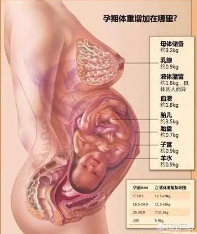 梦见老婆生完孩子变瘦了,生完孩子多久是瘦身黄金期？