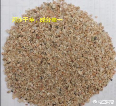 火山岩用途:火山岩可以干什么?可以种花吗？