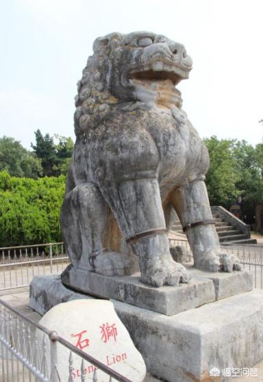 民间舞狮:舞狮是我国优秀的民间艺术，有什么历史渊源