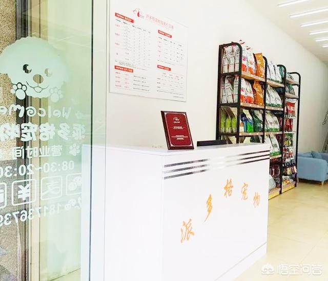 河北宠物店管理系统:宠物店提升营业额的秘籍？