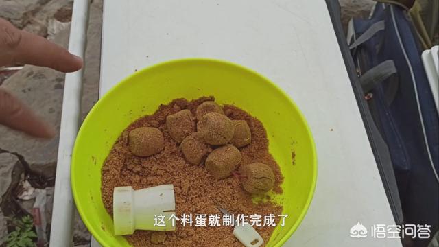 我手秃鹫的活饵:冬天海竿用哪种商品做诱饵？