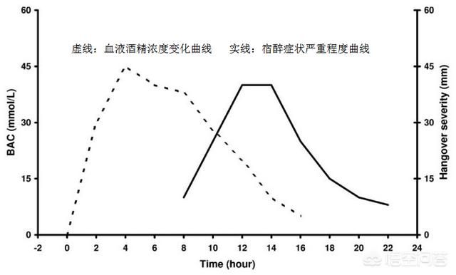 回魂酒是什么意思，为什么宿醉以后，第二天再喝点酒会感觉很舒服