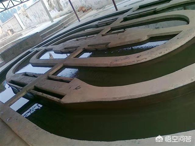 北京淡水鱼苗:北京淡水鱼苗市场 新池塘下鱼苗需要注意什么？