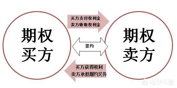 特点:中国人有哪些与众不同的特点？