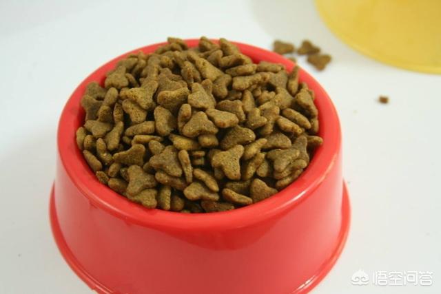 自制简单狗粮的制作方法:不给狗吃狗粮吃自制可以吗？会影响健康吗？