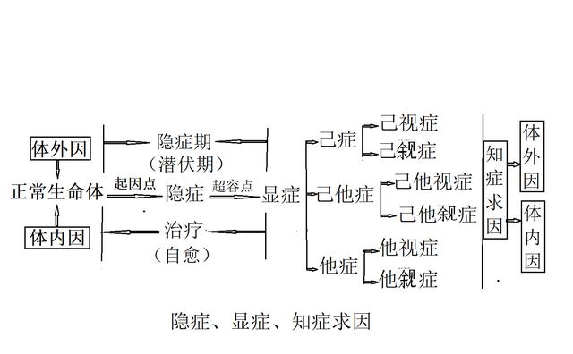 雷火神灸(雷火灸艾条多少钱一根)