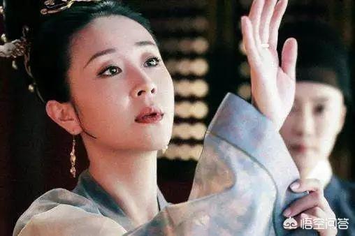 鹤唳华亭剧情介绍:《鹤唳华亭》到底讲了一个怎样的故事