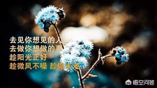 走心的<a href=https://maguai.com/list/256-0-0.html target=_blank class=infotextkey>朋友圈</a>:有哪些最走心的说说心情<a href=https://maguai.com/list/46-0-0.html target=_blank class=infotextkey>语录</a>分享？(适合自己的心情<a href=https://maguai.com/list/46-0-0.html target=_blank class=infotextkey>语录</a>)
