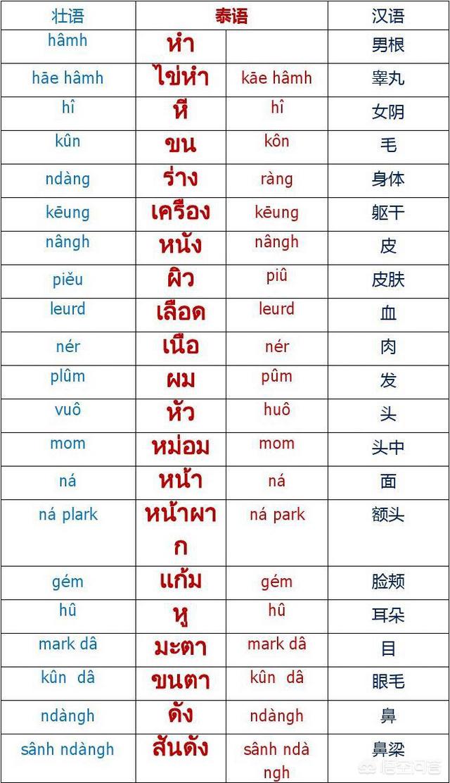 壮语和泰语差得多吗？壮族人去泰国是否可以不用翻译？