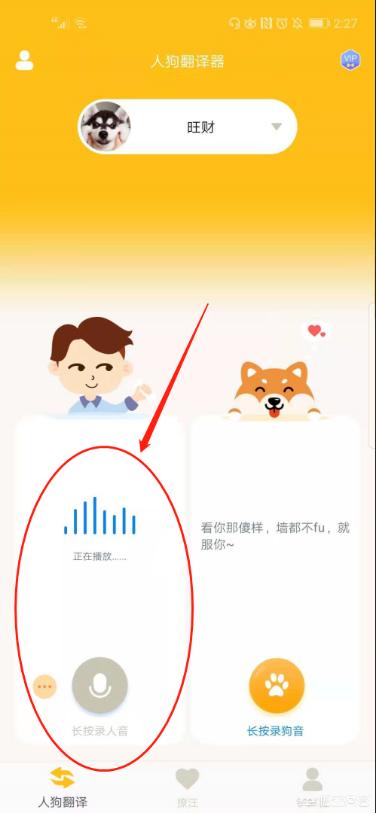 狗语翻译器效果如何:有人知道狗狗的翻译器怎么用吗？