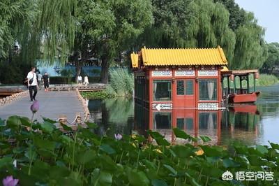 京城第一名媛:徐志摩和陆小曼当初爱的死去活来，为什么婚后生活却不幸福？