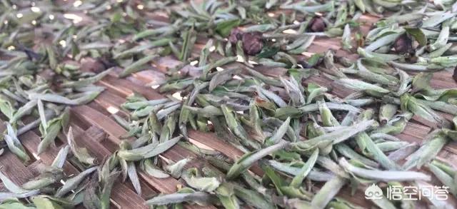 福鼎白茶怎么分档次？