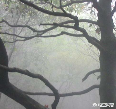 三国时期,诸葛亮遇到的瘴气是什么？为什么南方多瘴气而北方少有呢？