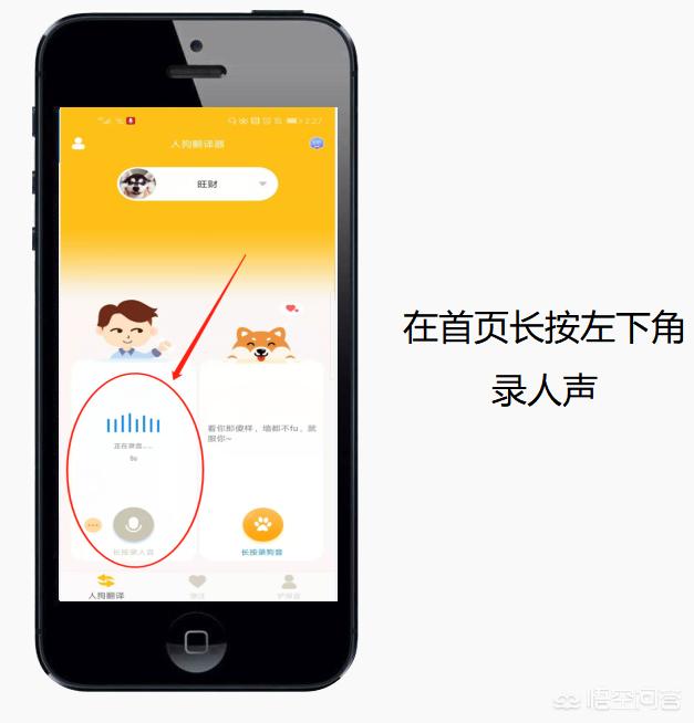 狗狗语言翻译器中文语言:狗狗的翻译器管用吗现在？