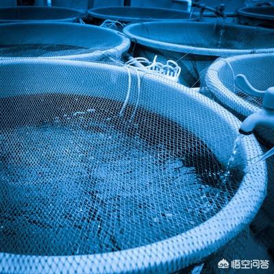 水产蛋白分离机价格:水产养殖适合用紫外线消毒器吗？