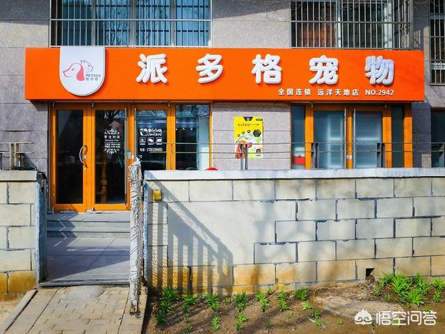 小县城开宠物用品店赚钱吗:开一家宠物用品店挣钱吗？前景如何？